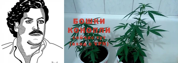мескалин Арсеньев