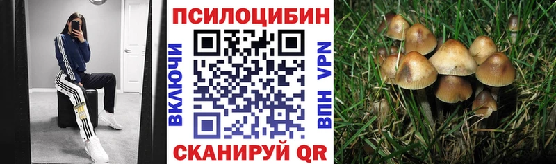 Галлюциногенные грибы Cubensis  Холмск 