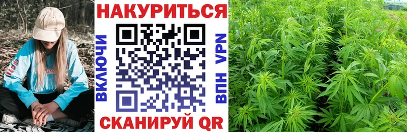 наркота Холмск Канабис THC 21%
